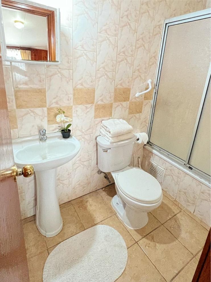Hostal Feliza Valdivia Exteriör bild